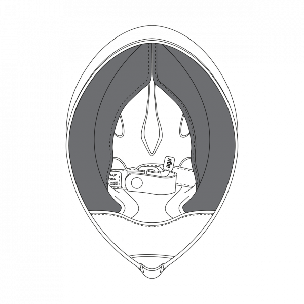 Helmet Padding AGV Pista GP R Cheekpads