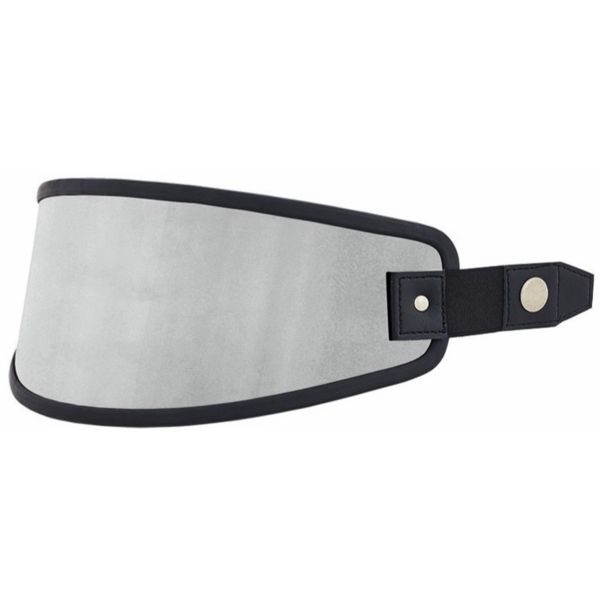 Visors Nexx X.G100 Visor
