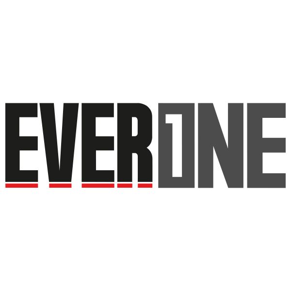 Visors Everone Sun Visor Modularever