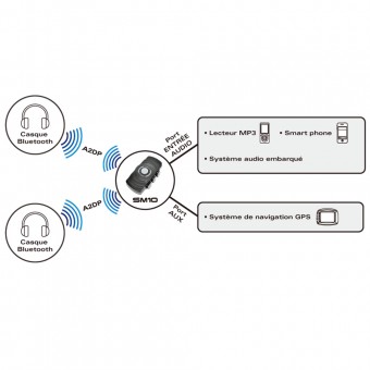 Sena SM10 Module for Goldwing Connection