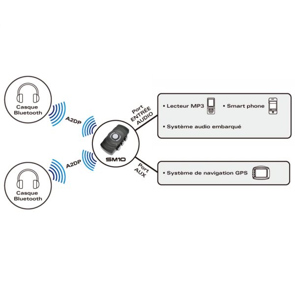 Sena SM10 Module for Goldwing Connection
