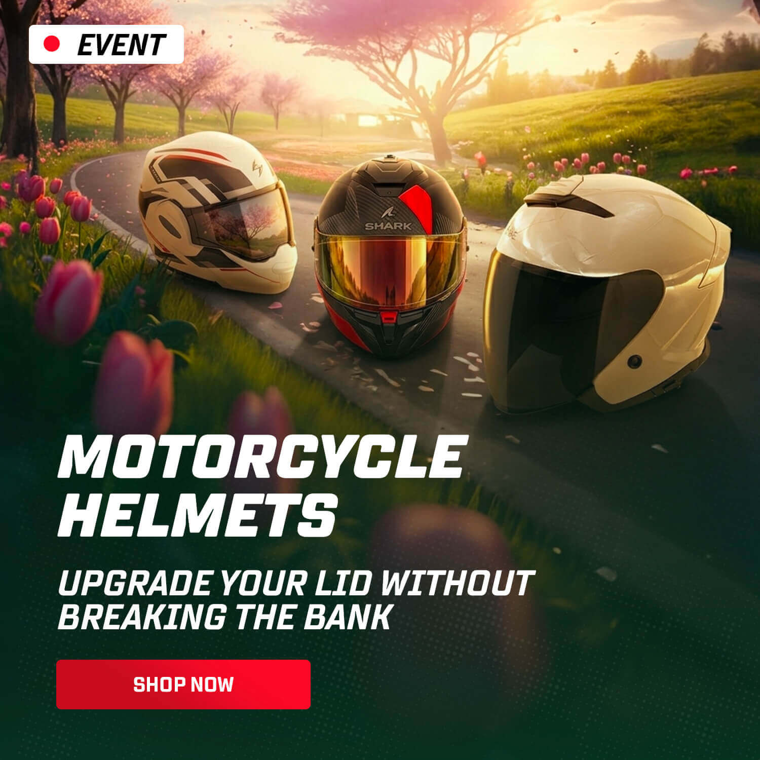 Motorcycle Helmets