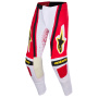 Motocross Trousers Alpinestars Techstar Nomur Pants Light Gray Red Black