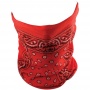 Motorcycle Neck Warmers Zanheadgear Red Paisley