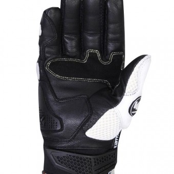 V'Quattro Spider Evo Black White